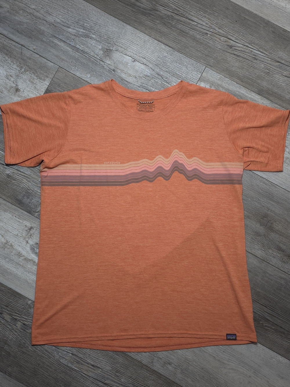 Patagonia Men's Capilene Cool Daily Mountains Quick Dry Graphic Tee Shirt Sz Lg